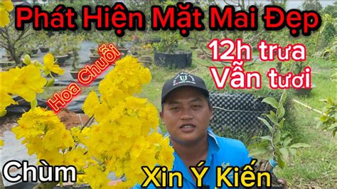 12nn|12giờ pm.